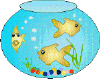 Fish Bowl Image