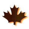 Maple Leaf Graphic Image